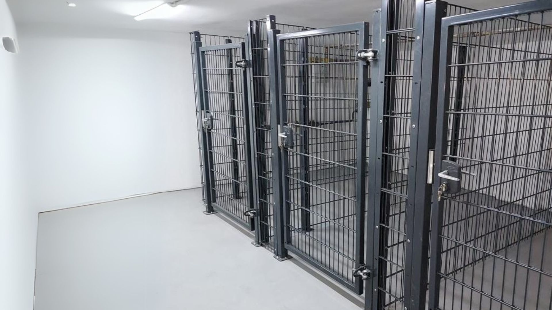 Basement Partitioning with Wire Mesh Panels – A Smart Alternative to Brick Walls