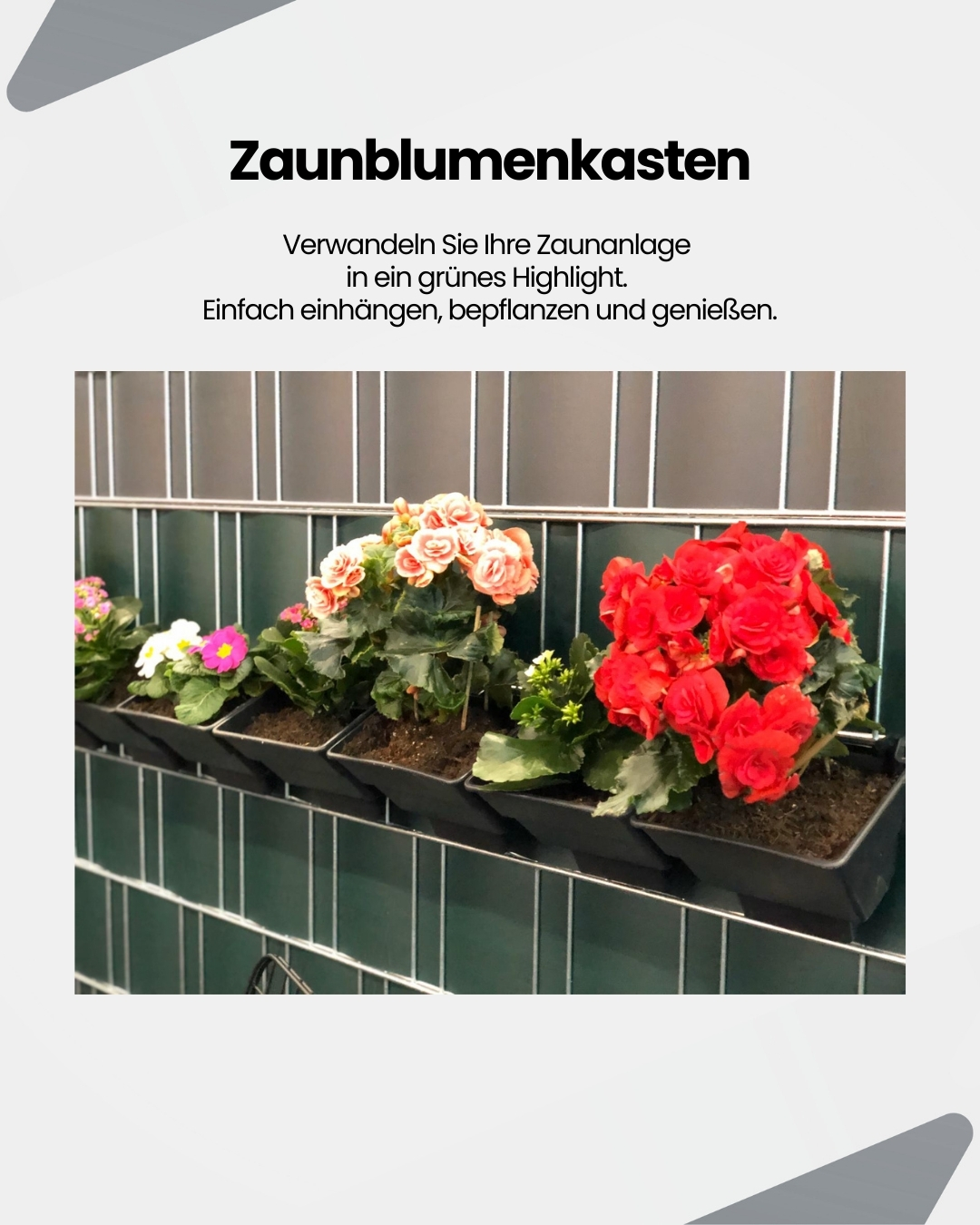 Zaunblumenkasten